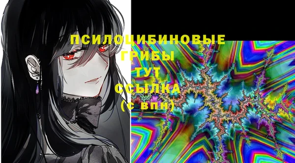 соль ск Гусиноозёрск