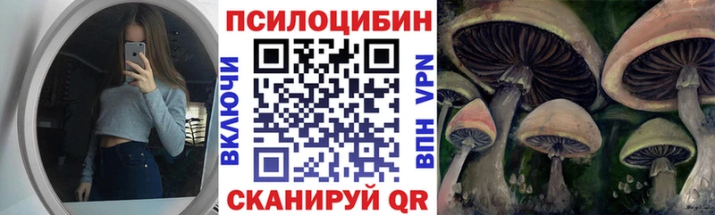 закладки  blacksprut как зайти  Галлюциногенные грибы мицелий  Курск 